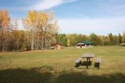 Photo: Deer Group, Pigeon Lake - Group