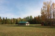 Photo: Deer Group, Pigeon Lake - Group