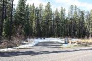 Photo: A-38, McLean Creek - Loop A