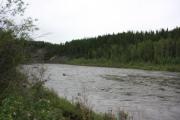 Photo: McLeod River Group, McLeod River - Group