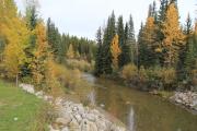Photo: Prairie Creek Provincial Recreation Area