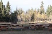 Photo: Grouse Group, Bow VALLEY - Group