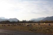 Photo: Owl Group, Bow VALLEY - Group