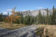 Photo: A-2, Bow VALLEY - Loop A