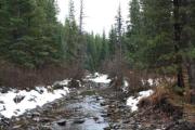 Photo: Etherington Creek Provincial Recreation Area