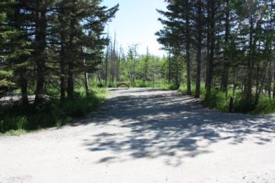 Campsite Details 7, Beauvais Lake Provincial Park, AB Alberta Parks