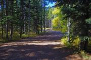 Photo: A11, Beaver Mines Lake - Loop A