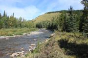 Photo: Honeymoon Creek Provincial Recreation Area, AB