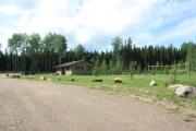 Photo: Musreau Lake Provincial Recreation Area, AB