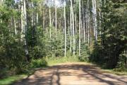 Photo: A-13, Gregoire Lake - Loop A