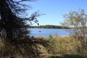 Photo: North Buck Lake Provincial Recreation Area